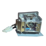 D538W Vivitek Lamp