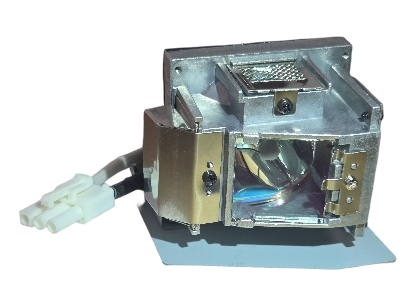 D537W